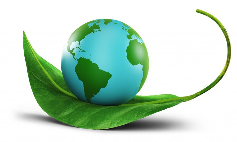 Thuế bảo vệ môi trường là gì?