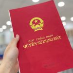 chu-vo-cung-quan-trong-tren-so-do_0709171712