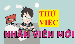 thử việc 2 lần