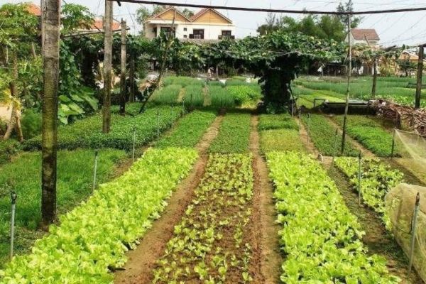 Công chứng hợp đồng chuyển nhượng đất đai